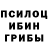 Псилоцибиновые грибы мицелий Louis Roge