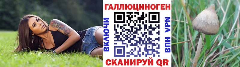 Галлюциногенные грибы мицелий  цены наркотик  Хотьково 